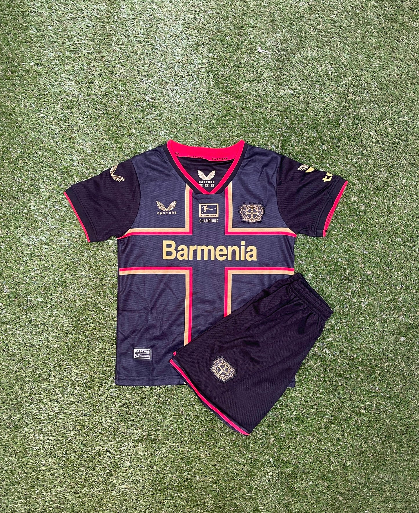 Camiseta Bayer Leverkusen Edición Campeón 24/25